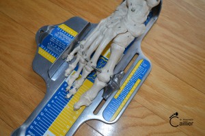 How to measure your feet